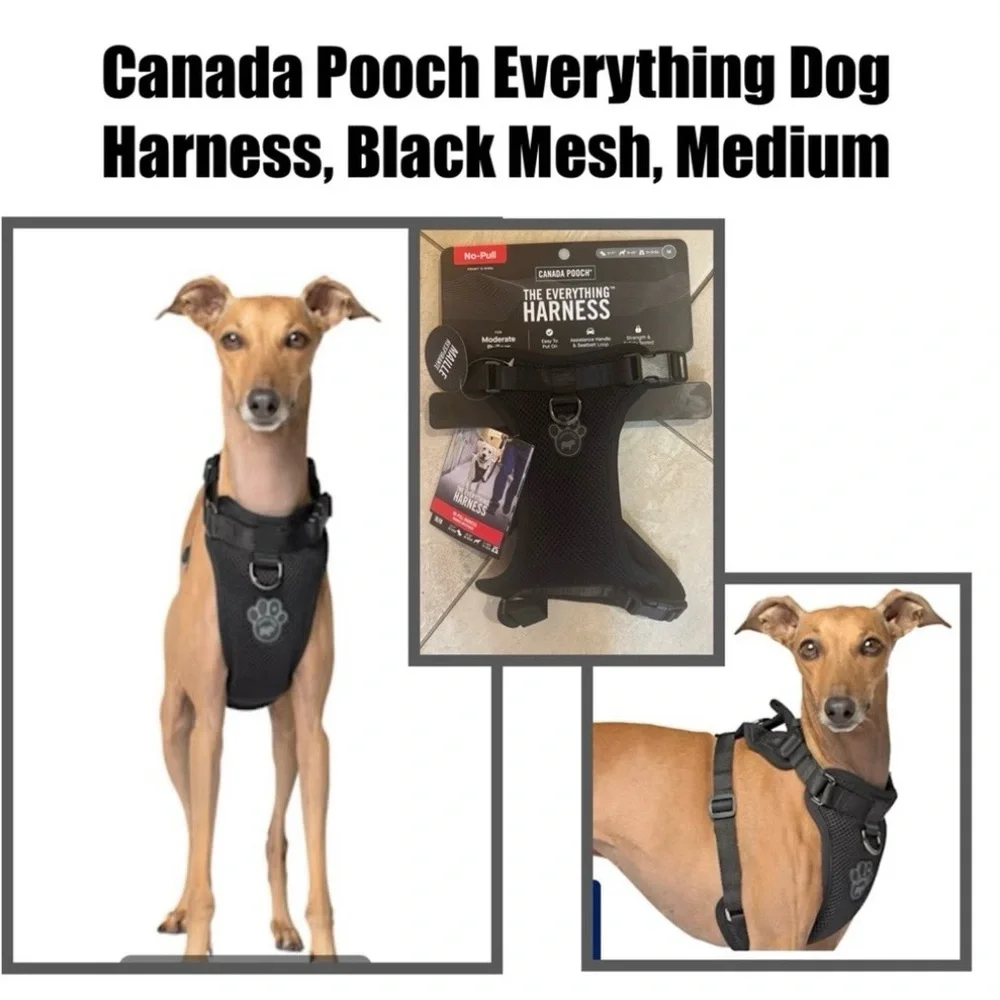 Canada Pooch Everything Dog Harness